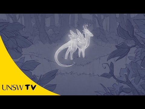 The Butterfly Dragon Video