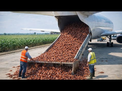 How China Changed the Fate of Millions of Cancer Patients! Crazy Experiment