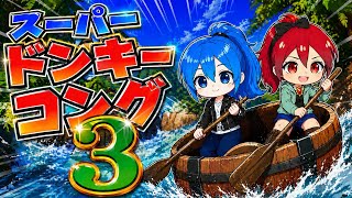 ノンキーコングとダィダィーコング🙉2️⃣【スーパードンキーコング3】