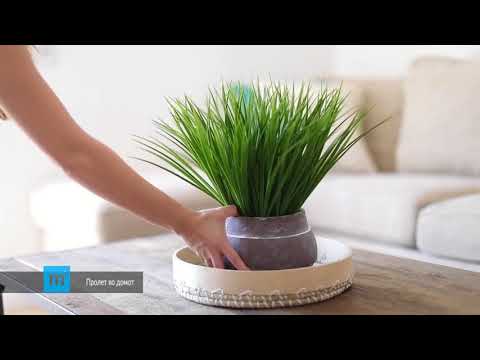 Prolet vo domot - kvadrat