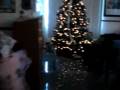 Thanks Giving Devocional Nov 24 2008 Parte 5