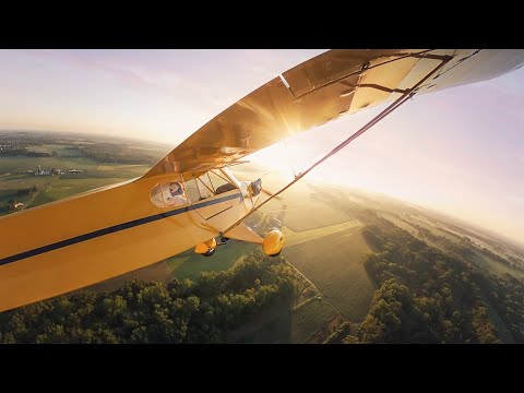 Piper Cub Grass field Landing (GoProMAX 360º Camera)