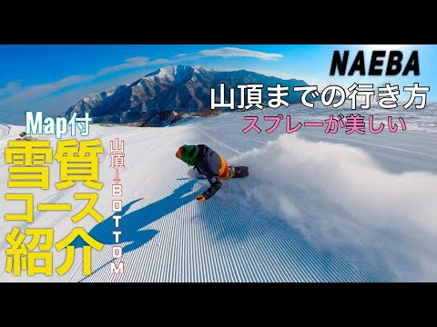はじめての苗場スキー場コース紹介【山頂までの行き方】雪質も絶景も最高！