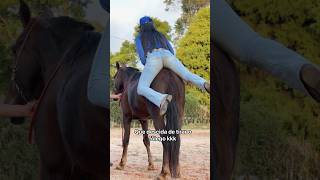 #cavalos #piadascurtas #cavalo #piadasrapidas #shortsviral #shortsfeed #shorts #horse