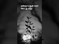 Ilayaraja Enna Enna Kanavu Kandayo ️ Sahiljoshivlogs Valkai Oru Swapnam