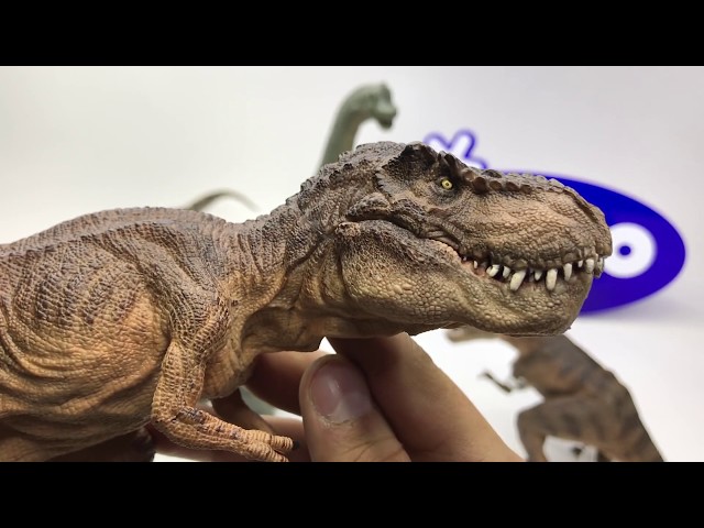 Vídeo relacionado con Papo Figura de Dinosaurio T-Rex, Colección Dinosaurios, Juguete Niños 3+