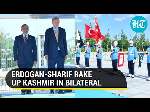 Turkey backs Pak on Kashmir; 'Support our Kashmiri brothers', says Erdogan