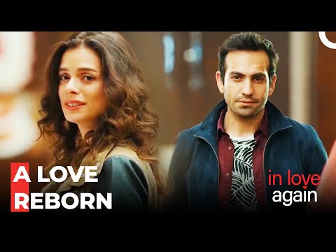 Zeynep's Definition of Love - In Love Again
