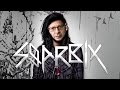 SGARBIX MA NON SAI UN C4ZZO SGARBI DUBSTEP