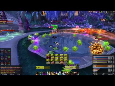 High Botanist Tel'Arn Mythic - Purified Outland EU