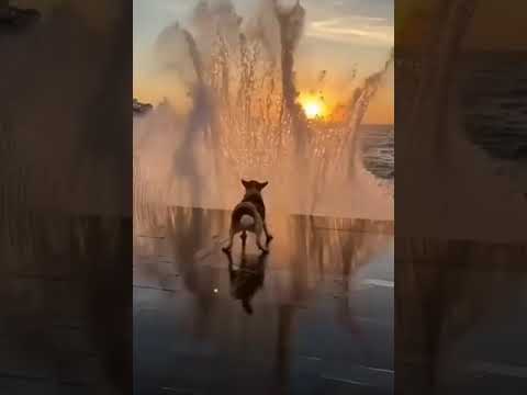 वाव माईंड ब्लोईंग#short