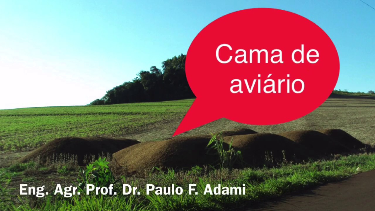 Cama de aviário