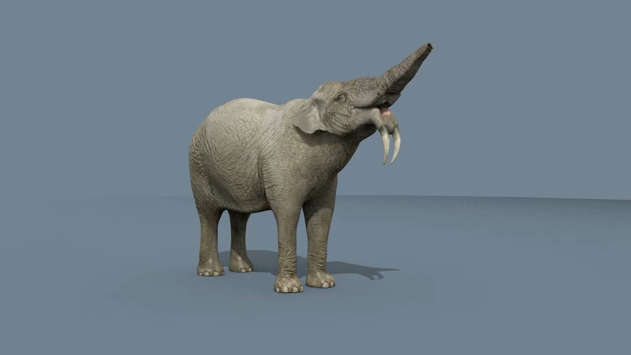 Deinotherium Thraceiensis HD - animazione 3D Modello 3D
