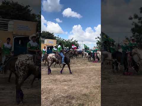 Cavalgada de São Domingos Do Araguaia