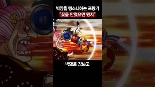 빅맘을 뺑소니하는 프랑키