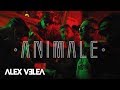Alex Velea - Animale | Official Video Alex Velea - Animale | Official Video