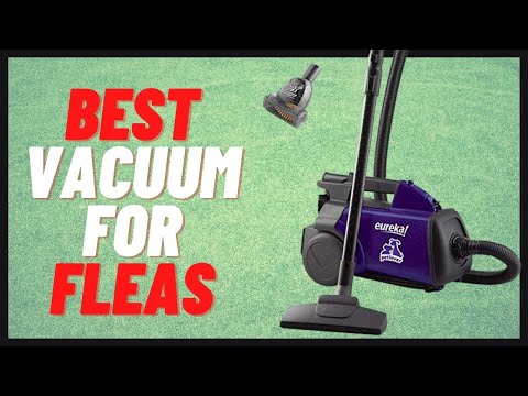 Top 5 Best Vacuum for Fleas 2022 Reviewed