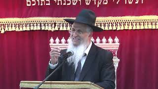 025רוממות התפילה ברייתא דרבי ישמעאל (הרב יורם סרי) - התמונה מוצגת ישירות מתוך אתר האינטרנט יוטיוב. זכויות היוצרים בתמונה שייכות ליוצרה. קישור קרדיט למקור התוכן נמצא בתוך דף הסרטון