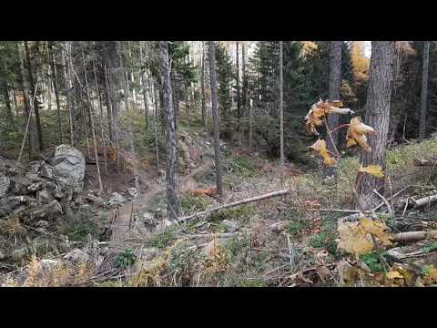 Steinerne Renne von Hasserode aus erwandert