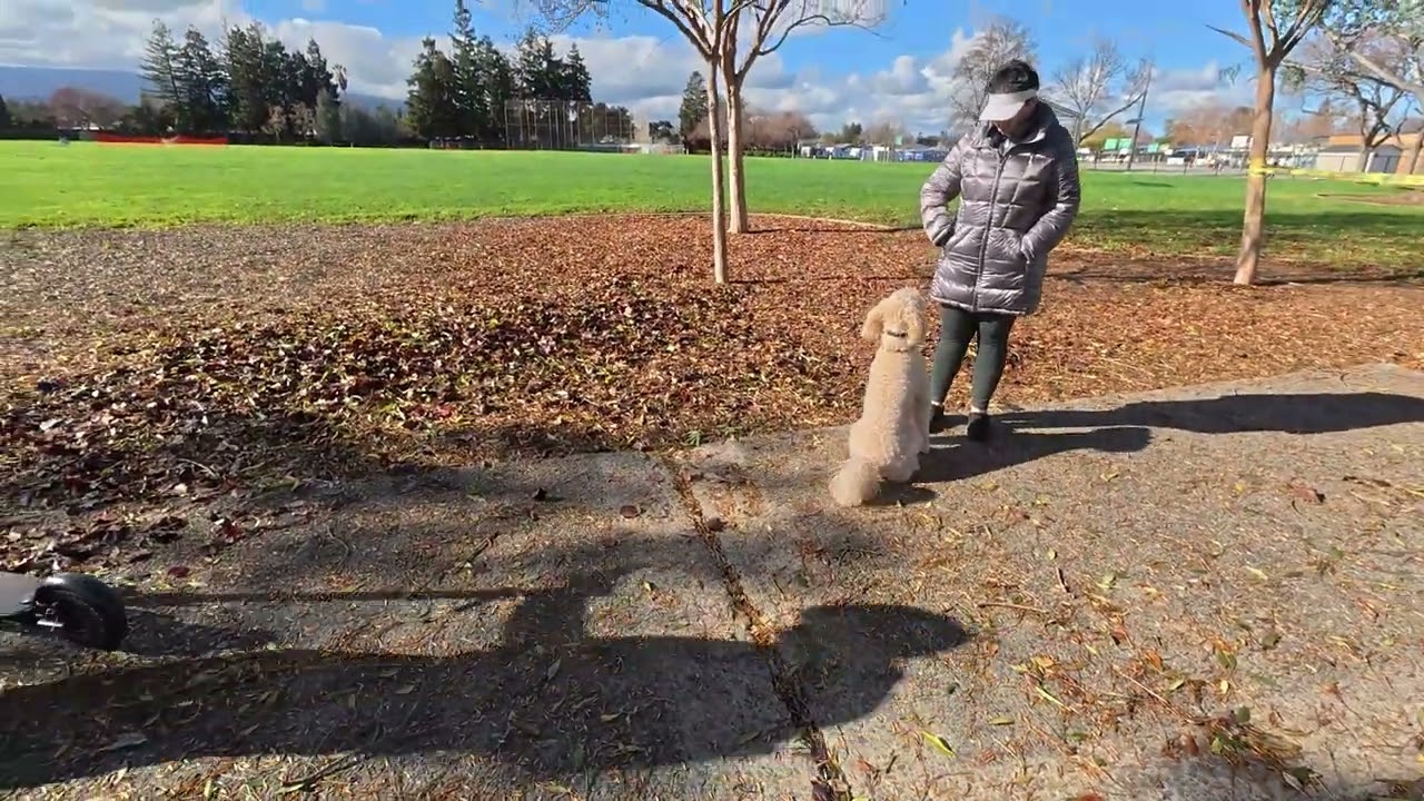 Болталка - променад