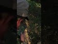 In The Tree Is Where We Belong