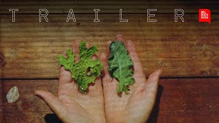 Lichens Are The Way | Trailer | BELDOCS 2024