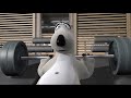 Bernard Spor Salonu The Gym