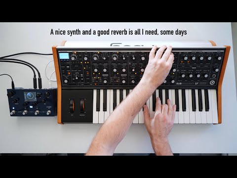 Moog Subsequent 37 and Meris Mercury X - Cinematic synth performance