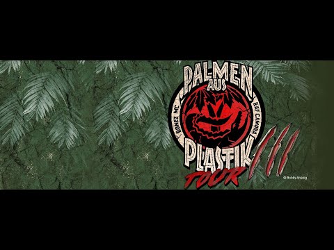 RAF Camora & Bonez MC - Palmen aus Plastik 3 [Album Analyse]