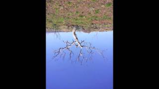 Latimore - Let's Do It In Slow Motion - Let's Chill