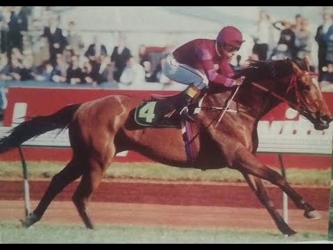 1993  𝙏𝙀𝙉 𝙉𝙚𝙩𝙬𝙤𝙧𝙠  𝙏𝙚𝙡𝙚𝙘𝙖𝙨𝙩 _ 𝙑𝙍𝘾 𝙇 𝙆 𝙎 𝙈𝙖𝙘𝙠𝙞𝙣𝙣𝙤𝙣 𝙋𝙧𝙚 𝙍𝙖𝙘𝙚