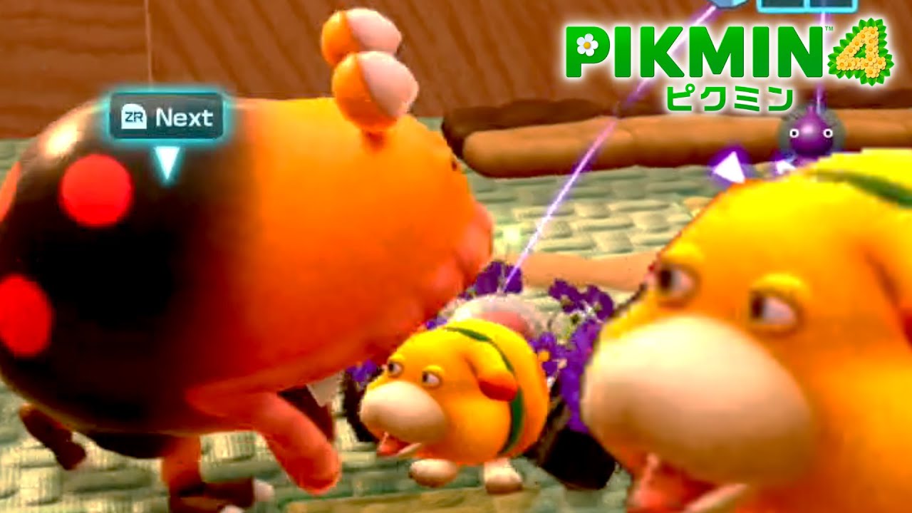 オッチン「横にクマさん？そんなバカn...」【ピクミン4】