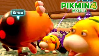 オッチン「横にクマさん？そんなバカn...」【ピクミン4】