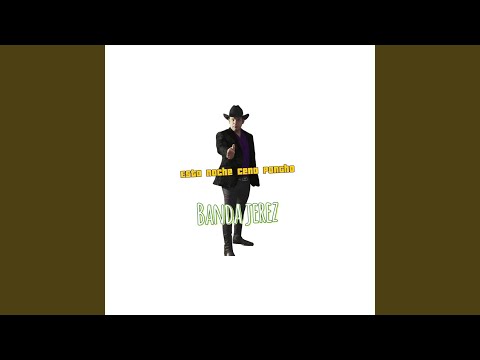 Me Vale Ver Gatos Bravos