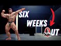 OLYMPIA PREP TRAINING, UPDATE AND POSING!