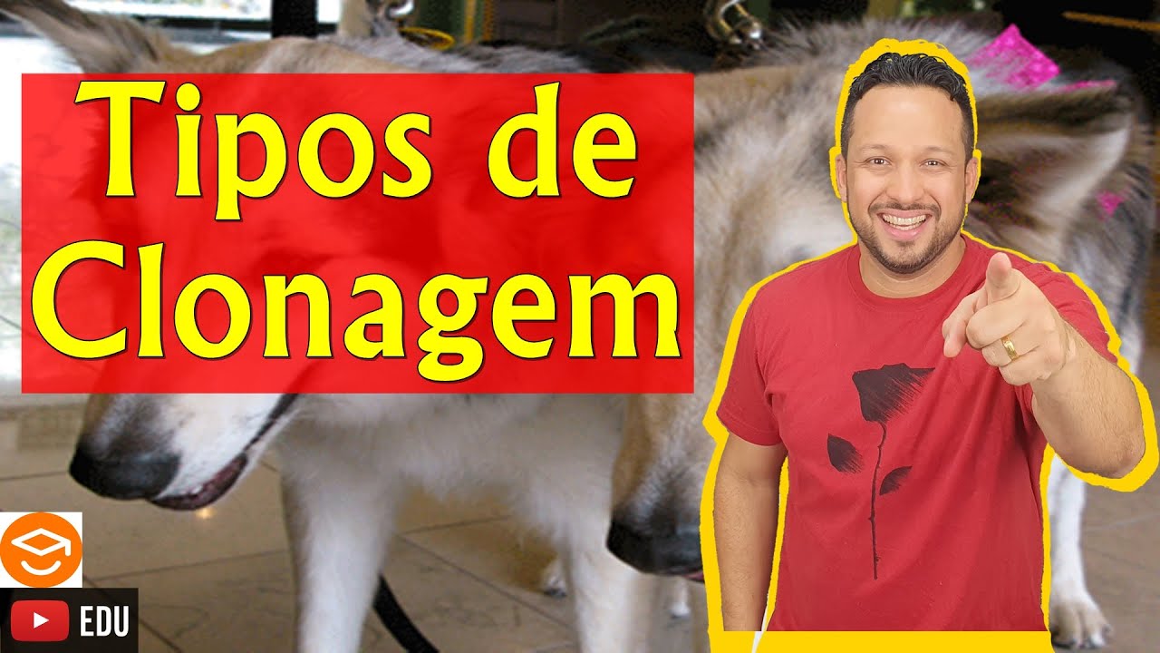 Tipos de Clonagem - Clonagem Reprodutiva e Clonagem Terapêutica - Clonagem - Biotecnologia