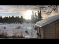 Alaskan Moose Gets His Girl Stolen While Randy Newman Serenades
