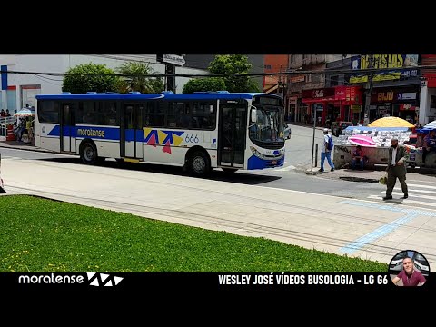 Apache VIP II sc - MB OF-1722M - 666 Moratense