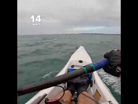Going downwind #surfski #kayaking