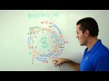 Saving Time In Business Whiteboard Wednesday