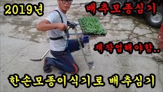 텃밭농사 김장배추심는시기 한손모종이식기로 배추모종심는방법을 이야기 해보았습니다.
