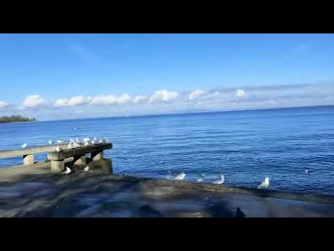 At the beach 🏖 Switzerland 🇨🇭❤️