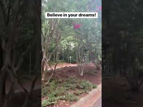 Believe in your dreams! #relationshipadvice #shorts #love #single #goals #motivation #storytime