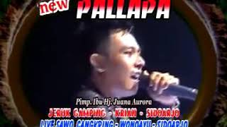 Download lagu Bukan yang pertama new pallapa live sawocangkring 2015 mp3