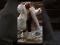 Zaphod Beeblebrox falling in Hitchhikers Guide to the Galaxy #funny