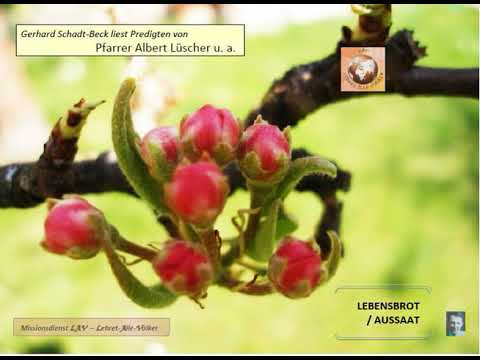 Video zu Nr. 26 "Ohne Heiligung wird niemand den HERRN sehen." Hebräer 12,14