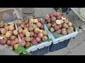 Aunty Ma Give You A Local Market Tour