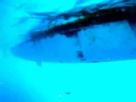 "The Best of Cruising!" or "How To Empty the Holding Tank"