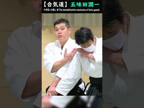 五味田潤一:崩しのメカニズムで相手を倒す【解説2】#short #aikido