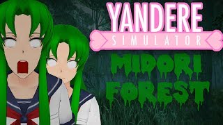 Simulator Simulator